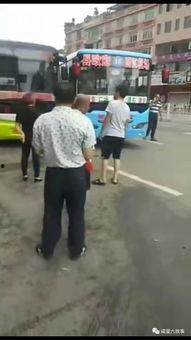 吃瓜围观大全视频,揭秘热门视频背后的故事与真相