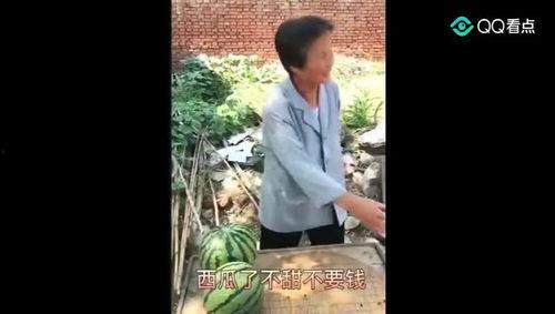 大型最强吃瓜视频,一场视觉盛宴的狂欢之旅