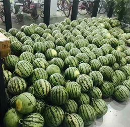 普洱学院吃瓜视频,揭秘校园生活趣味瞬间