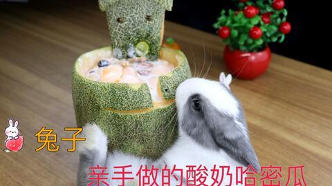 给小兔子吃哈密瓜视频大全,哈密瓜视频大全集锦