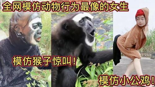 模仿女人吃瓜视频大全,揭秘女人吃瓜视频大全，笑料百出，趣味横生！