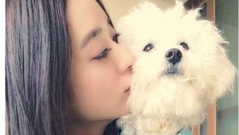 香香公主与爱犬吃瓜视频,萌态十足引网友热议