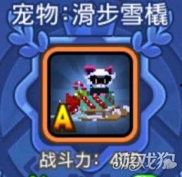 吃瓜群众宠物视频在线观看,吃瓜群众在线观看宠物视频盛宴