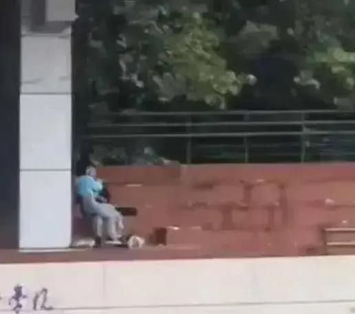 西安吃瓜学校事件视频,校园风波背后的真相与反思