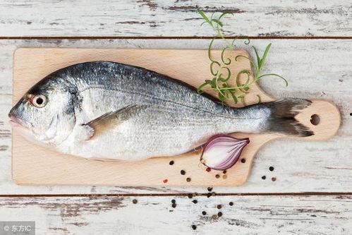 瓜虫病的鱼可以吃嘛视频,能否食用及处理方法