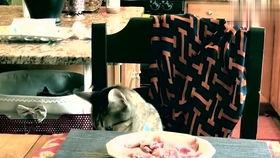 吃瓜姐搞笑视频大全,带你领略欢乐无限