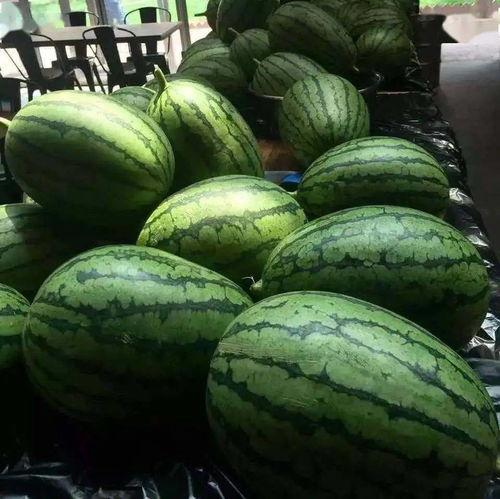 黑桃a吃瓜视频,揭秘娱乐圈幕后真相