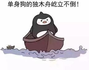 搞笑吃瓜炸裂故事视频,笑料横飞！吃瓜群众炸裂故事视频大盘点