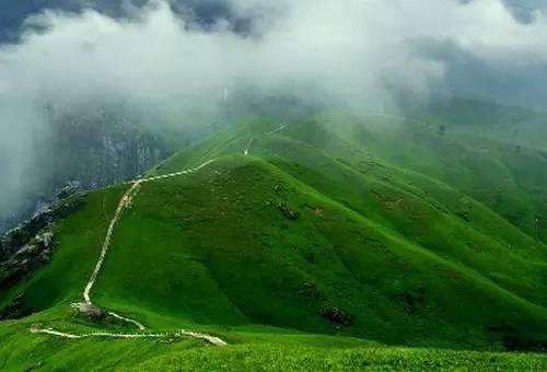 武功山吃瓜事件视频播放,网络热议背后的真相揭秘