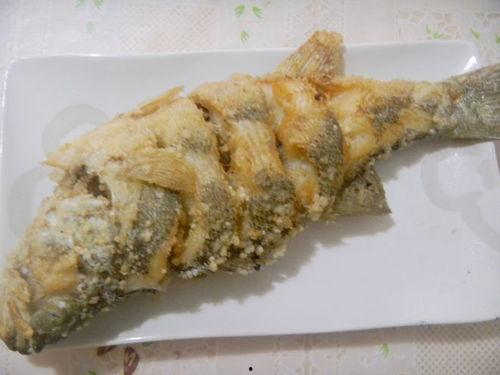 一只鱼吃茄瓜视频播放,揭秘鱼儿钟爱的茄瓜美味瞬间