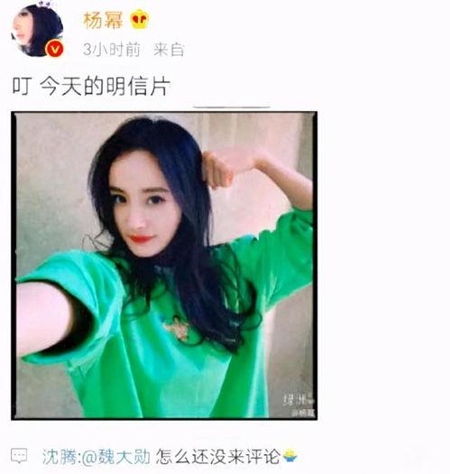 吃瓜杨幂视频大全集在线观看,笑料百出，欢乐无限