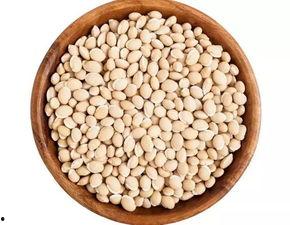 诏安县吃瓜视频,一场吃瓜视频引发的美食狂欢