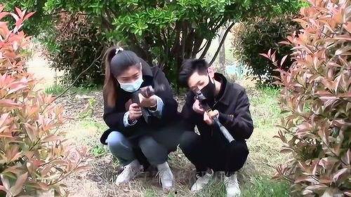 全妹大神吃瓜视频,揭秘娱乐圈幕后真相