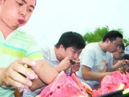 2分钟视频吃瓜,吃瓜达人带你领略瓜界风云