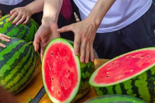 东北大学食堂吃瓜视频,校园美食生活趣味横生