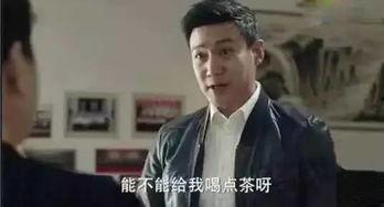 八卦吃瓜剧情分集介绍视频,揭秘分集高潮与悬念迭起的精彩瞬间