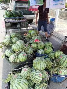 莲塘吃瓜事件视频大全,视频大全揭秘惊人真相