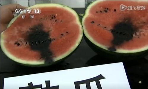 韩城吃瓜视频哪里可以看