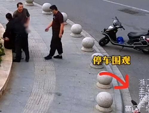 浙江东阳男子吃瓜视频,揭秘瓜农生活日常