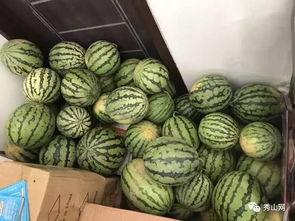 新沂新港吃瓜视频,揭秘当地生活百态