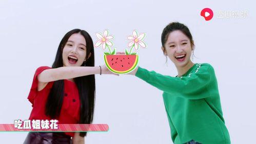 爱豆吃瓜李振宁视频播放,爱豆的可爱瞬间