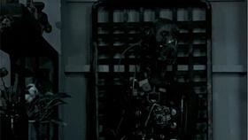 最近关于纹身的吃瓜视频,吃瓜群众热议纹身新动态