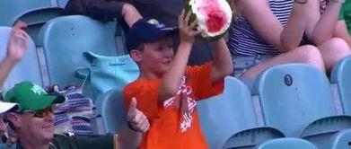 真实吃瓜 小男孩视频在线观看,萌态可掬，网友直呼可爱爆表