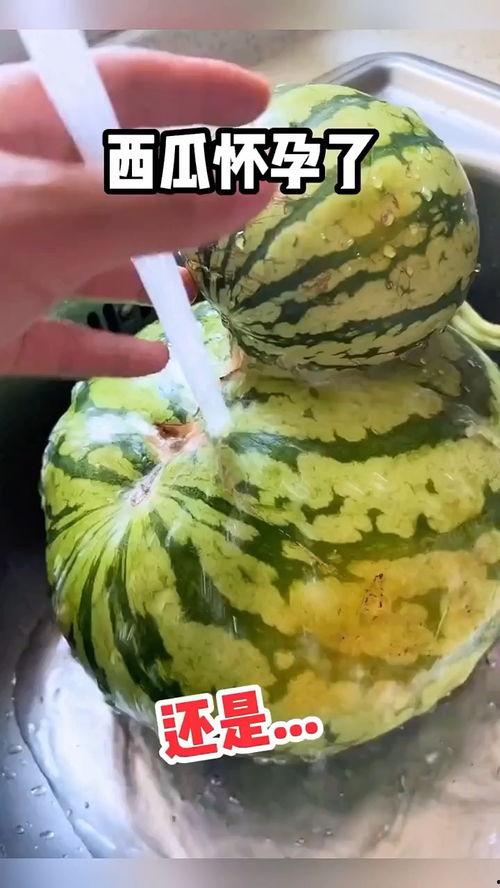 吃瓜视频最搞笑的是什么